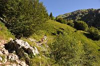 16 Sentiero 234 Val Carnera Cima Menna